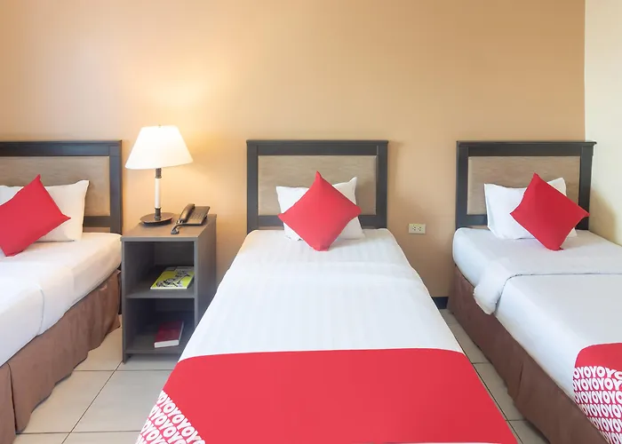 Oyo 187 The Maxwell Hotel Cebu