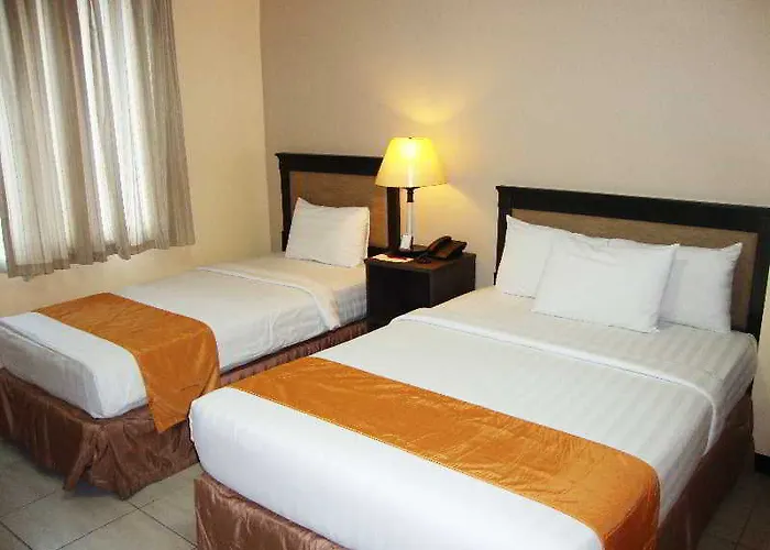 Hotel Oyo 187 The Maxwell 3*